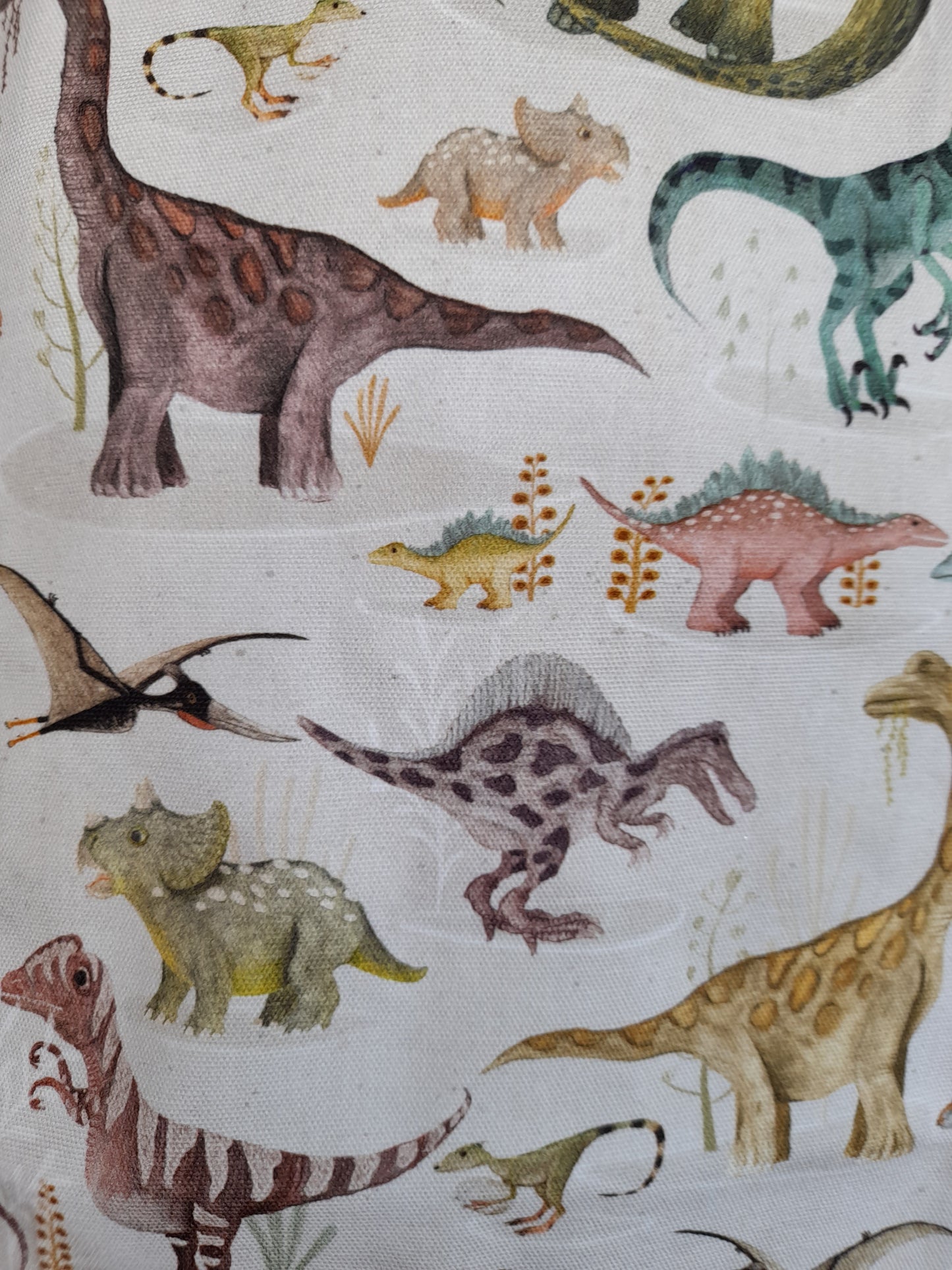 Children's Apron Dinosaurs