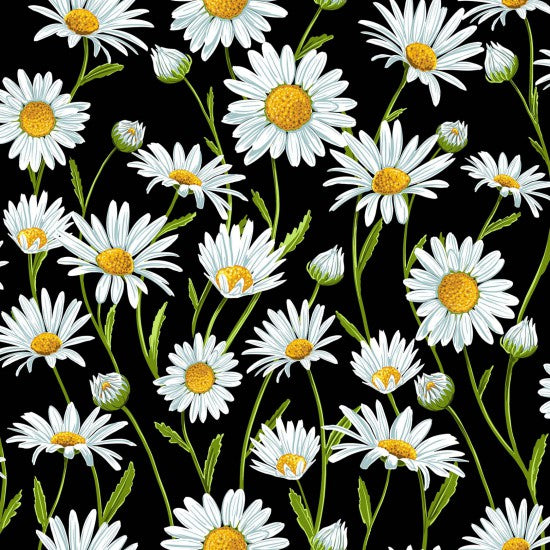 Adult apron Flower Market Daisies