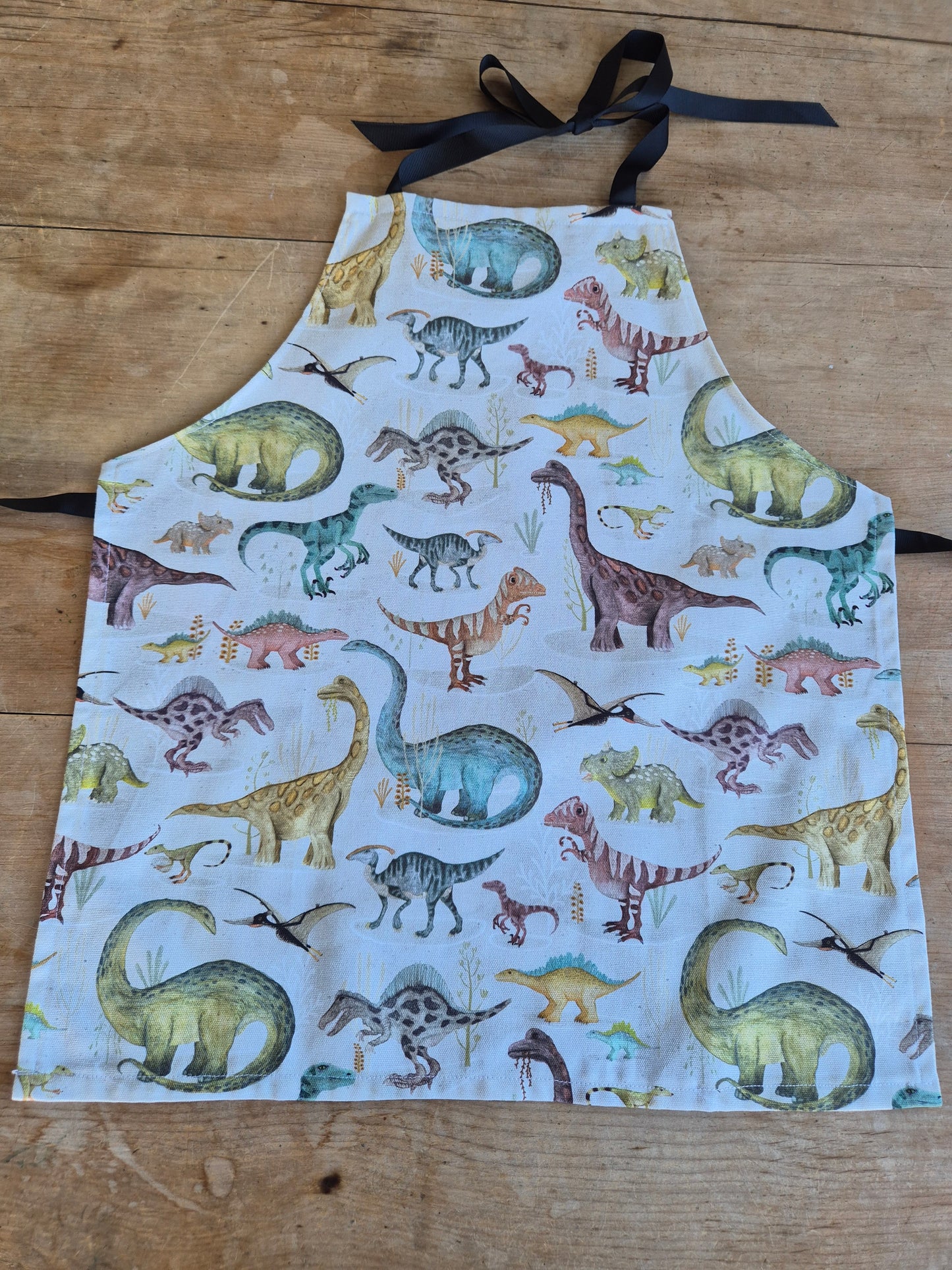Children's Apron Dinosaurs